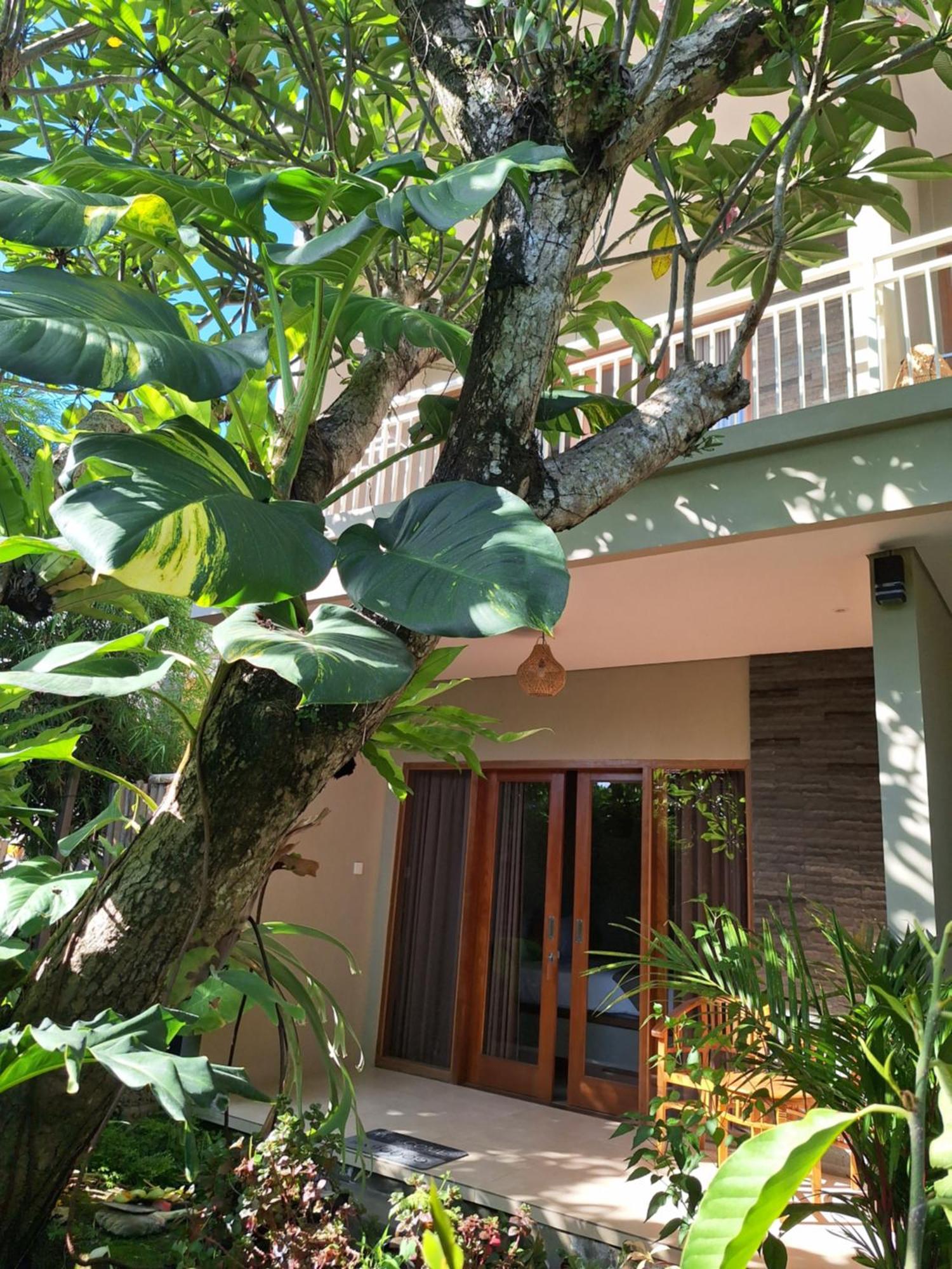 Kasapa Inn Ουμπούντ Εξωτερικό φωτογραφία